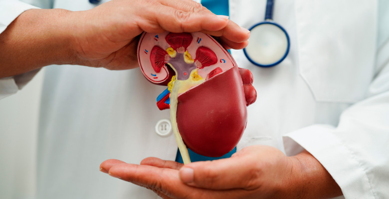 Peritos identificam falhas no diagnóstico à doença renal crónica